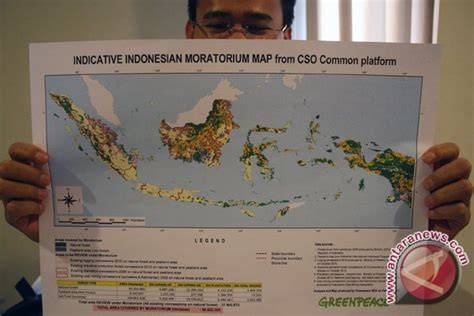 Moratorium Gambut - Pantau Gambut - raincitystudios.com