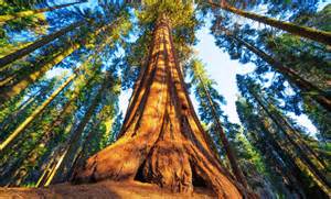 More than 2,200 years ago, a man... - I Love The Universe - wintechmobiles.com