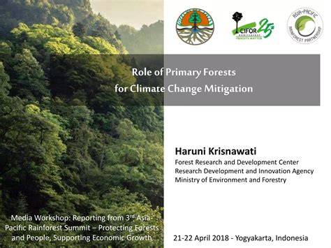 More than mitigation: The role of forests in climate … - raincitystudios.com