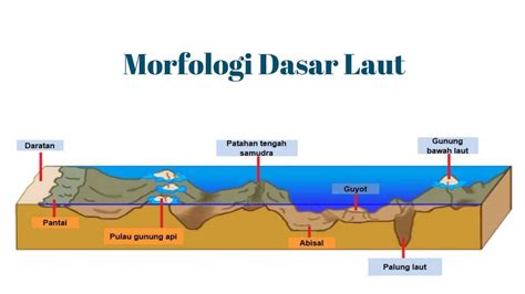 Morfologi Laut - Bentuk Relief Dasar Laut | Perairan … - wintechmobiles.com