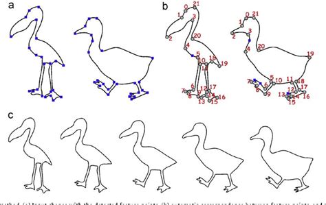 Morphing in Animation: Detailed Explain and Guide - muktibox.com