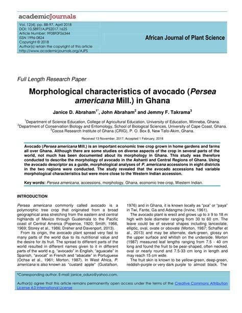 Morphological characterization of avocado (Persea americana Mill ... - raincitystudios.com