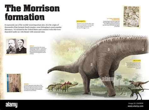 Morrison Formation - U.S. National Park Service - muktibox.com