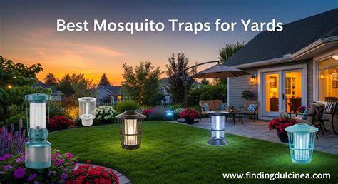 Mosquito Traps - Pengendalian Nyamuk Alami Jakarta … - raincitystudios.com