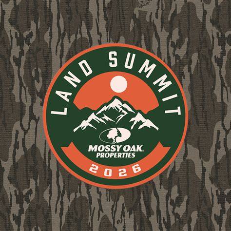 Mossy Forest (2026) - All You MUST Know Before You … - raincitystudios.com