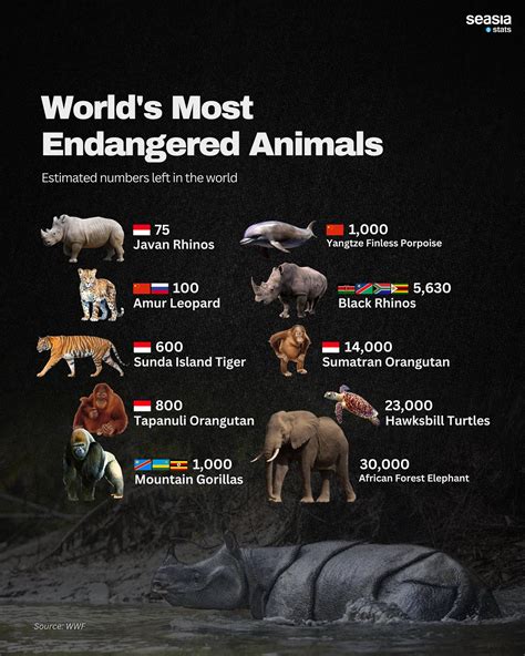 Most Endangered Species 2026 - wintechmobiles.com