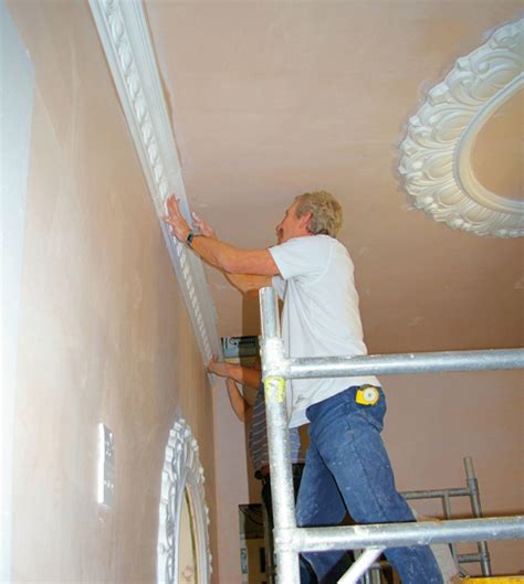 Moulding Plaster Reinstatement - muktibox.com
