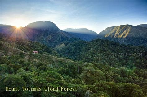 Mount Totumas Cloud Forest - Panama City | Project … - raincitystudios.com