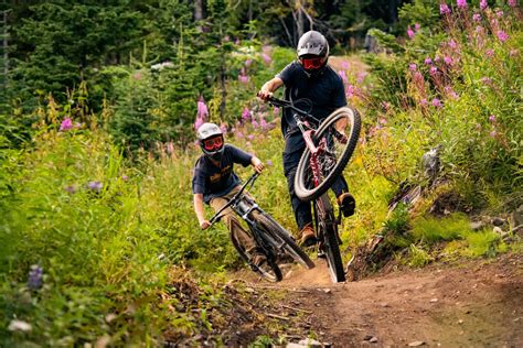 Mountain bike riding - Forestry Corporation - raincitystudios.com