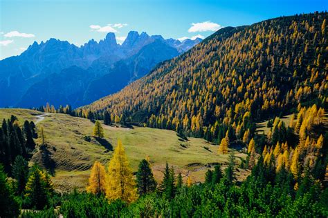 Mountain ecosystem | Ecology, Flora & Fauna - raincitystudios.com