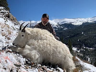 MOUNTAIN GOAT Genevaparkoutfitters