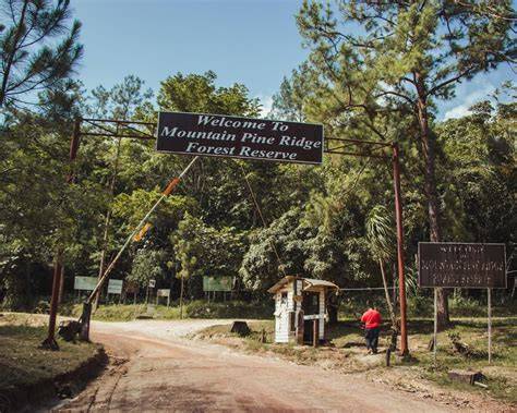 Mountain Pine Ridge Forest Reserve Resorts & All Inclusive Resorts - raincitystudios.com