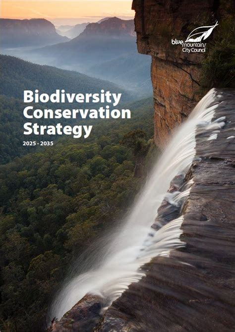 Mountains, biodiversity and conservation - raincitystudios.com