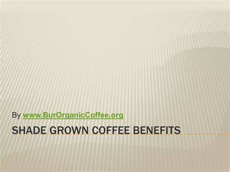 Mounting evidence for benefits of shade-grown coffee - raincitystudios.com