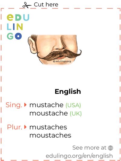 MOUSTACHE Pronunciation in English - Cambridge