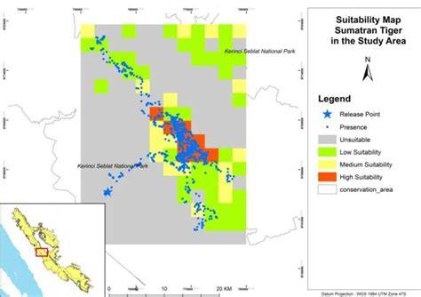 Movement Patterns and Habitat Suitability of Translocated Sumatran ... - raincitystudios.com
