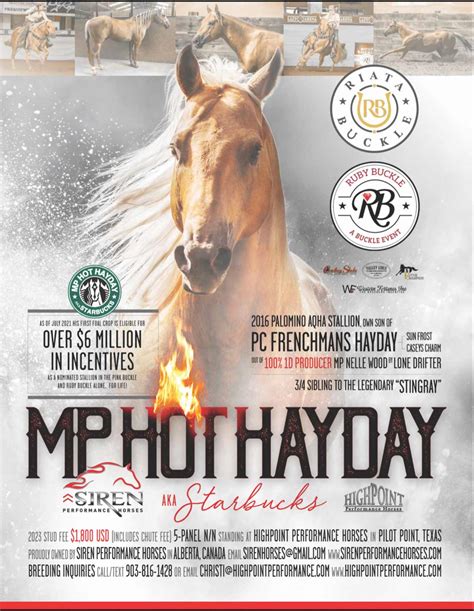 MP Hot Hayday - High Point Performance