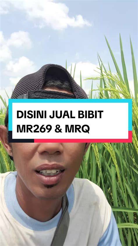 Mr. Bibit Mgl on TikTok - raincitystudios.com