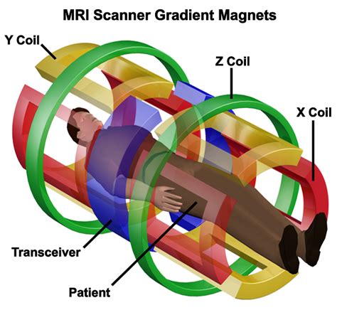 MRI: A Guided Tour - Magnet Academy - National MagLab - wintechmobiles.com