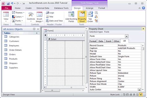 MS Access 2010 Property Summary for Form