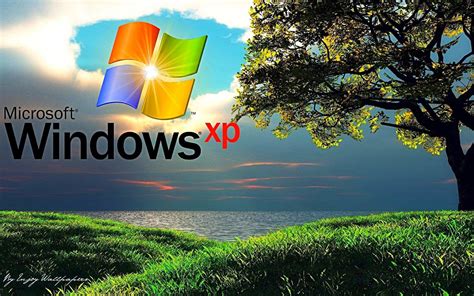 MS windows XP full