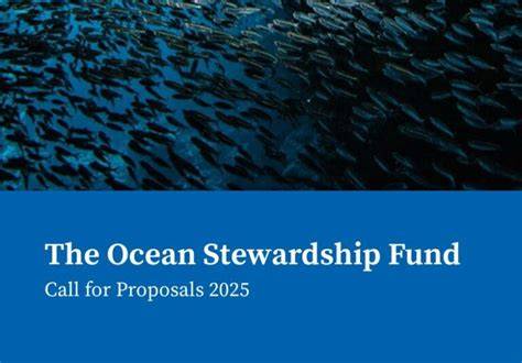 MSC Ocean Stewardship Fund projects supported - raincitystudios.com