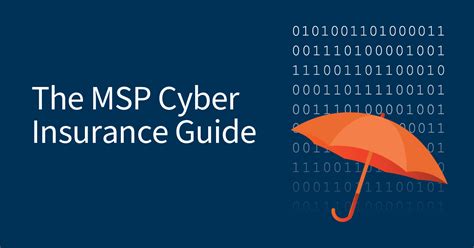 MSP Insurance Guide