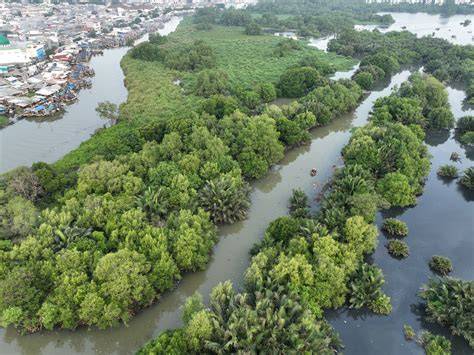 Muara Angke Wildlife Reserve - raincitystudios.com