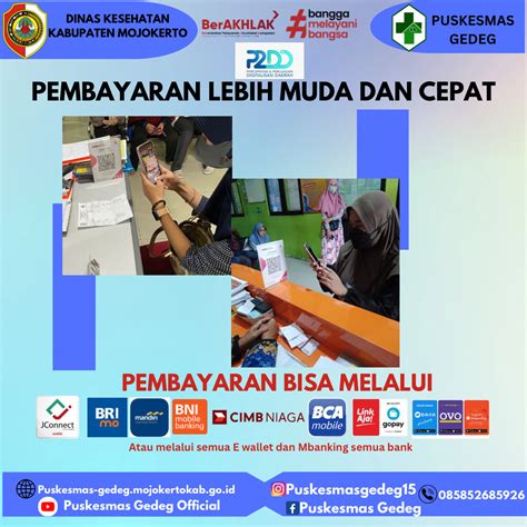 Mudah & Praktis, Ini Cara Menanam Lidah Buaya agar … - muktibox.com