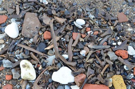 Mudlarking: Mudlarking at Greenwich - wintechmobiles.com