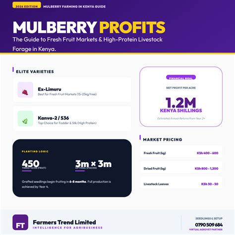 Mulberry farming and sericulture guide in Kenya - raincitystudios.com