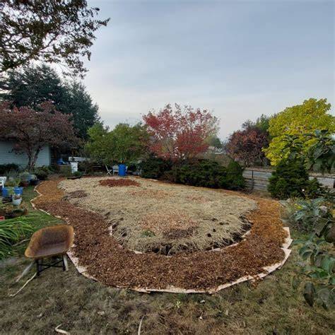 Mulch and sowing directly : r/Permaculture - raincitystudios.com