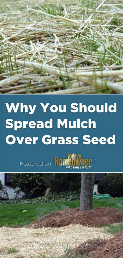 Mulch over seeds | + Top 4 Mulch FAQ - Eco Family Life - raincitystudios.com