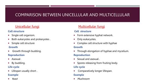 Multi Cellular - muktibox.com