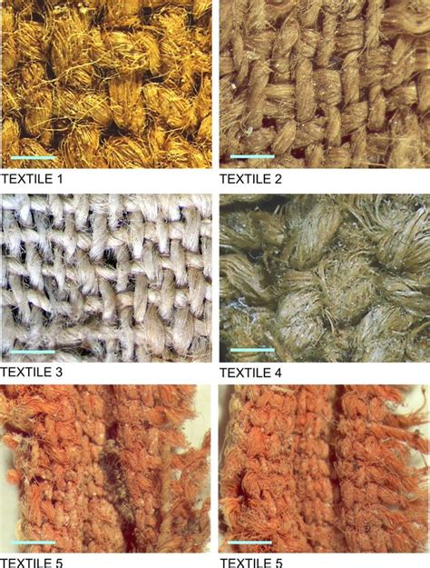 Multidisciplinary investigation reveals the earliest textiles and ... - wintechmobiles.com