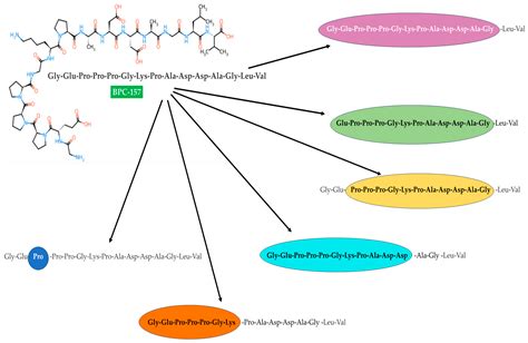 Multifunctionality and Possible Medical Application of … - muktibox.com