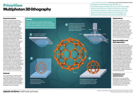 Multiphoton 3D lithography - Nature Reviews Methods Primers - wintechmobiles.com