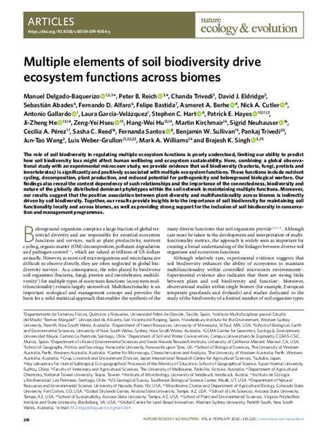 Multiple elements of soil biodiversity drive ecosystem - raincitystudios.com