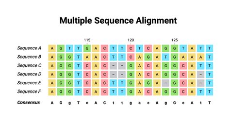 Multiple sequence alignment - Bioinformatics.Org Wiki - coolestguyplanet.net