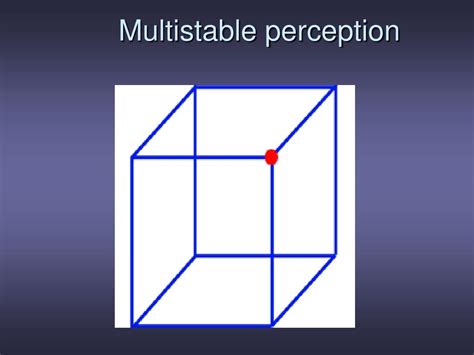 Multistable perception - muktibox.com