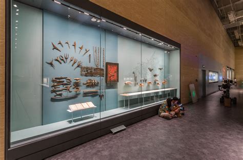 Museum and Display Cases - Pilkington - muktibox.com