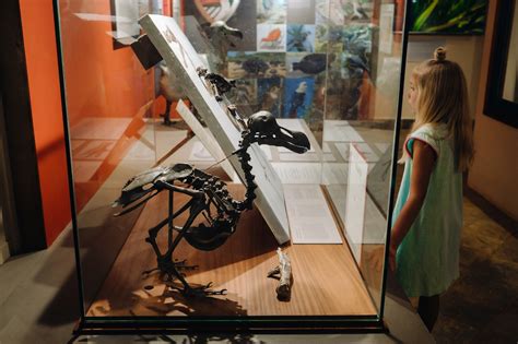 Museum Glass & Optium Museum Acrylic - muktibox.com