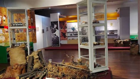 Museum Nasional Sejarah Alam Indonesia - wintechmobiles.com