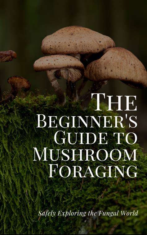 Mushroom Foraging: A Beginner's Guide to Exploring the Fascinating ... - raincitystudios.com