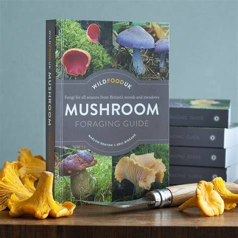 Mushroom Foraging Essentials: A Guide to … - raincitystudios.com