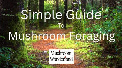 Mushroom Foraging for Beginners Made Simple - Amazon - raincitystudios.com