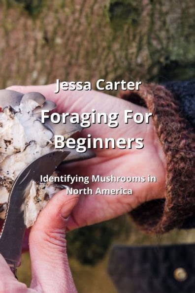 MUSHROOM FORAGING FOR BEGINNERS OF NORTH AMERICA - raincitystudios.com