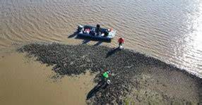 Mussel Watch - NCCOS - National Centers for Coastal … - raincitystudios.com