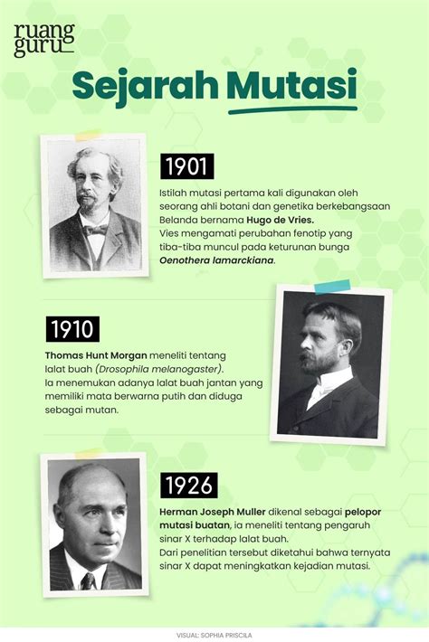 Mutasi: Pengertian, Klasifikasi & Dampaknya | Biologi … - muktibox.com