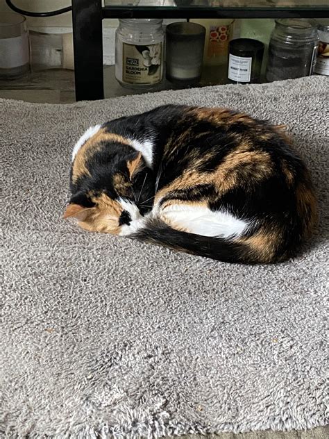 My pretty Layla | #laylallewellyn #cryorbetteryetbeg ... - muktibox.com